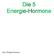 Die 5 Energie-Hormone
