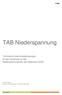 TAB Niederspannung. Technische Anschlussbedingungen für den Anschluss an das Niederspannungsnetz der Regionetz GmbH. Logo.