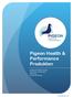 Pigeon Health & Performance Produkten. Kurzbeschreibung Produkt Gebrauchs-anweisungen Dosierung Zusammensetzung.