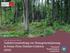 Auftaktveranstaltung zur Managementplanung in Fauna-Flora-Habitat-Gebieten (FFH)