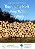 Rund ums Holz - Vom Wald ins Werk