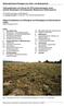 Offene Grasflächen mit Silbergras und Straußgras auf Binnendünen (2330) (Stand November 2011)