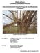 Stadt Lübtheen (Landkreis Ludwigslust-Parchim) Artenschutzfachliche Begutachtung des Baumbestandes Kurzbericht