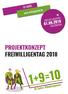 10 JAHRE   PROJEKTKONZEPT FREIWILLIGENTAG 2018