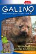 Wombats. kuschlige Beuteltiere. Kartentrick. Blitz-Eis. Mit Gewinnspiel! Kinder- Postermagazin Ausgabe 2 / GALINO-Zaubern.