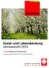 Einblicke. Sozial- und Lebensberatung Jahresbericht Caritas Bodensee-Oberschwaben. Unterstützung für Menschen in Not- und Krisensituationen