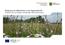 Bedeutung von Blühbrachen in der Agrarlandschaft Etablierung und Pflege mehrjähriger Blühmischungen Juni 2014 Katharina Auferkamp