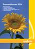 Sonnenblumen Spitzengenetik für Hochertragspotenzial Ölgehalte auf Spitzenniveau Gute agronomische Eigenschaften und Breite Gesundheit