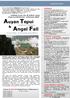 Angel Fall. Tourinfo Dschungel- & Einbaumexpedition
