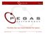 Überblick über das Oracle Internet File System. PEGAS systemhaus 2001 PEGAS Firmenpräsentation