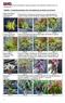 Tabelle 1: Fotodokumentation der Gartenleistung in Herbst und Winter