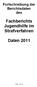Fachberichts Jugendhilfe im Strafverfahren. Daten 2011