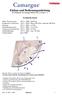 Einbau und Bedienungsanleitung für Whirlpools von Camargue Mistral, Toro, Corrida 3 + 5
