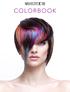Über Selective Professional...Seite Grundinformationen über das Haar...Seite Die natürliche Pigmentierung der Haare...Seite...