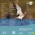 Programm. 6. Zugvogeltage im Nationalpark Niedersächsisches Wattenmeer Jadebusen
