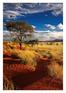 Namibia. Highlights. Weites wildes Land. 21 Tage ab 2.999