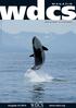 MAGAZIN. Foto: Tatiana Ivkovich, Far East Russia Orca Project (FEROP/ WDCS) Whale and Dolphin Conservation Society