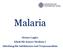 Malaria. Heimo Lagler Klink für Innere Medizin I Abteilung für Infektionen und Tropenmedizin