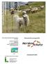 Nationale Beratungsstelle. Herdenschutz. Jahresbericht Nationale Beratungsstelle. Österreichischer Bundesverband für Schafe und Ziegen