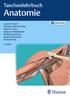 Auf einen Blick. Allgemeine. Anatomie. Brust-, Bauchund. Hals, Kopf, Sinnes- und. Anhang Systematik der Muskeln und Leitungsbahnen 20