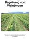 Begrünung von Weinbergen