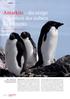 Antarktis die eisige Schönheit des siebten Kontinents