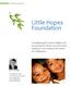 Little Hopes Foundation