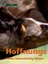 Titel. Hoffnungs. Fohlen lebenstüchtig füttern. FutterJournal 6
