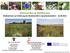 Blühstreifen & Blühflächen Maßnahmen zur Erhöhung der Biodiversität in Agrarlandschaften
