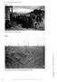 A BC. Bild 3. Robert Koehler: Der Streik (1886) Bild 4. Schlachtfelder des Ersten Weltkrieges (September 1916) 1. Gemeinsame Bilderarbeitung im Plenum