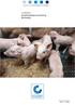Leitfaden Antibiotikamonitoring Schwein