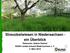 Streuobstwiesen in Niedersachsen - ein Überblick. Referentin: Sabine Washof BUND Landesverband Niedersachsen e. V. 3. März 2018