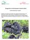 Berggorillas und Schimpansen hautnah erleben Komfort-Erlebnisreise in Uganda