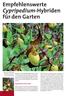 Empfehlenswerte Cypripedium-Hybriden für den Garten