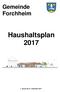 Gemeinde Forchheim. Haushaltsplan 2017