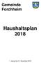 Gemeinde Forchheim. Haushaltsplan 2018