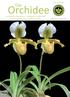 Volume 4(18) Orchidee. Die. Journal der Deutschen Orchideen-Gesellschaft zur Förderung der Orchideenkunde ISSN-Internet