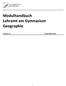 Modulhandbuch Lehramt am Gymnasium Geographie. Version 3.1 Stand April 2016