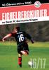 SG Ölbronn-Dürrn zu Gast: FC Germania Singen 16/17