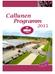 Callunen Programm 2015