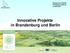 Innovative Projekte in Brandenburg und Berlin