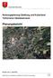 Planungsbericht. Nutzungsplanung Siedlung und Kulturland Teilrevision Gewässerraum. Gemeinde Menziken. Entwurf vom 11. April 2018