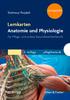 Lernkarten Anatomie und Physiologie