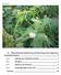Inhalt. 1.1 Pflanzenbauliche Optimierung und Umsetzung eines integrativen Energiepflanzenbaus 2. Literatur 27