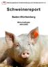 Beratungsdienst Schweinehaltung und Schweinezucht e.v. Schweinereport. Baden-Württemberg. Wirtschaftsjahr 2005/2006