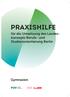 PRAXISHILFE. für die Umsetzung des Landes - konzepts Berufs- und Studienorientierung Berlin. Gymnasien