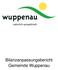 Bilanzanpassungsbericht Gemeinde Wuppenau