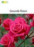 Inhalt SPITZENWERTE BEI DER INFORMATION 1 Vielfalt und Schönheit Wo wachsen Rosen besonders gut? Die Rosenklassen...