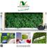 Index. Verwandeln Sie kahle Wände in lebendige grüne Oasen 4. Die Vorteile einer Grünwand 6. Bin Fen Green Wall 8. NextGen Living Wall 10