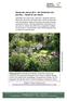 Staude des Jahres 2013 Die Wolfsmilch (Euphorbia) Vielfalt für den Garten